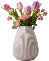 Acondicionadores de Suelo