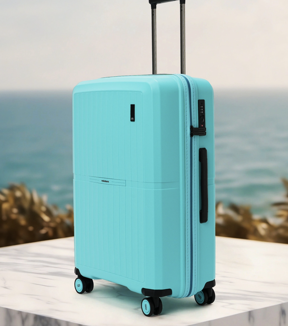 black-suitcase