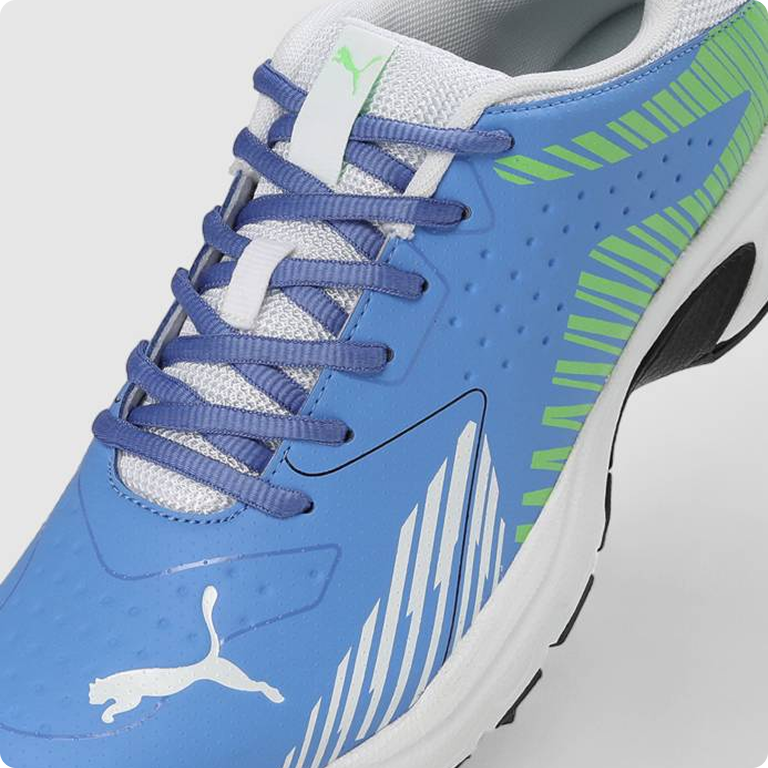 shoe