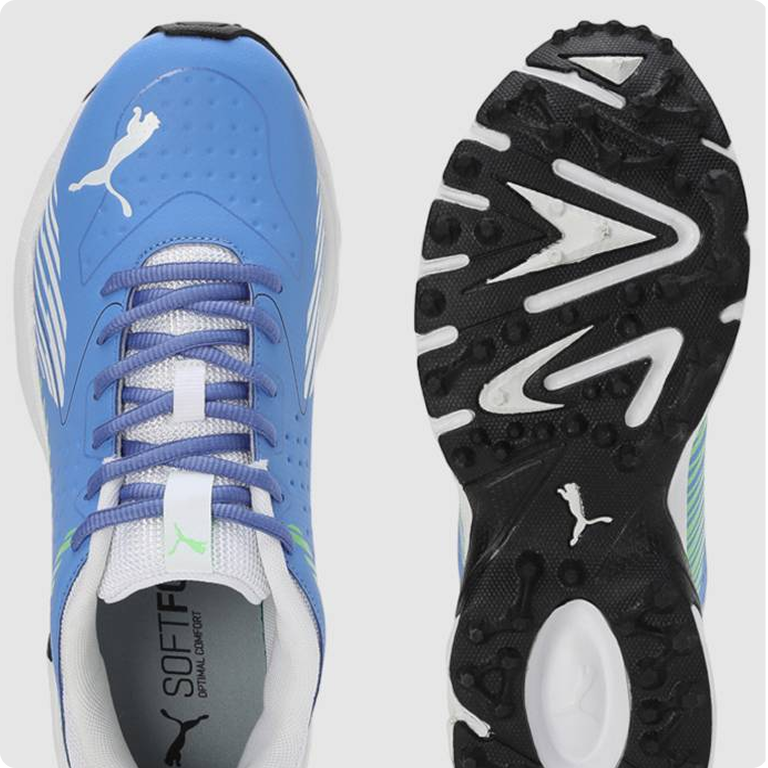 shoe