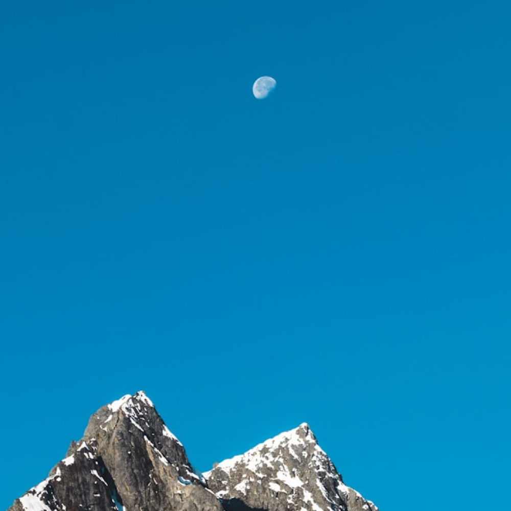 Descripción de la imagen 2