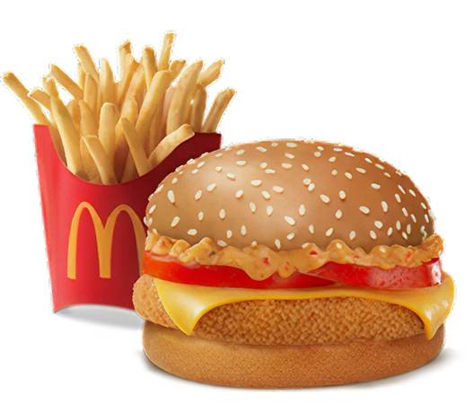 Fries & Burger