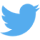 twitter logo