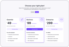 Marketing Pricing Section