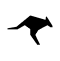 Roo Code